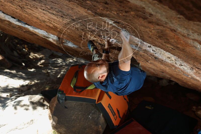 Bouldering in Hueco Tanks on 11/10/2018 with Blue Lizard Climbing and Yoga

Filename: SRM_20181110_1425270.jpg
Aperture: f/4.5
Shutter Speed: 1/200
Body: Canon EOS-1D Mark II
Lens: Canon EF 50mm f/1.8 II