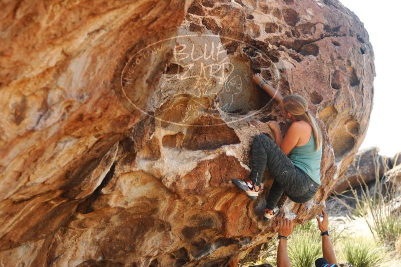 Bouldering in Hueco Tanks on 11/11/2018 with Blue Lizard Climbing and Yoga

Filename: SRM_20181111_1152120.jpg
Aperture: f/4.0
Shutter Speed: 1/400
Body: Canon EOS-1D Mark II
Lens: Canon EF 50mm f/1.8 II