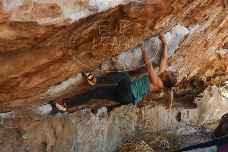 Bouldering in Hueco Tanks on 11/11/2018 with Blue Lizard Climbing and Yoga

Filename: SRM_20181111_1213460.jpg
Aperture: f/4.0
Shutter Speed: 1/400
Body: Canon EOS-1D Mark II
Lens: Canon EF 50mm f/1.8 II