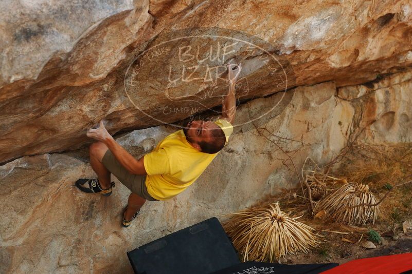 Bouldering in Hueco Tanks on 11/11/2018 with Blue Lizard Climbing and Yoga

Filename: SRM_20181111_1244010.jpg
Aperture: f/4.0
Shutter Speed: 1/500
Body: Canon EOS-1D Mark II
Lens: Canon EF 50mm f/1.8 II