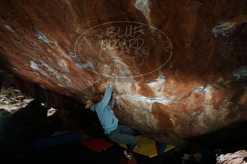 Bouldering in Hueco Tanks on 11/11/2018 with Blue Lizard Climbing and Yoga

Filename: SRM_20181111_1529130.jpg
Aperture: f/9.0
Shutter Speed: 1/250
Body: Canon EOS-1D Mark II
Lens: Canon EF 16-35mm f/2.8 L