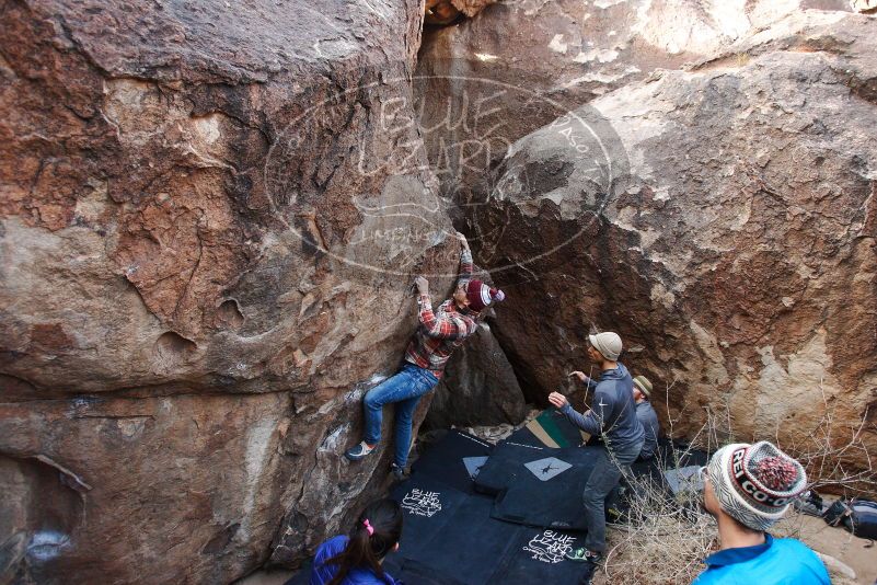 Bouldering in Hueco Tanks on 11/24/2018 with Blue Lizard Climbing and Yoga

Filename: SRM_20181124_1028380.jpg
Aperture: f/4.0
Shutter Speed: 1/250
Body: Canon EOS-1D Mark II
Lens: Canon EF 16-35mm f/2.8 L