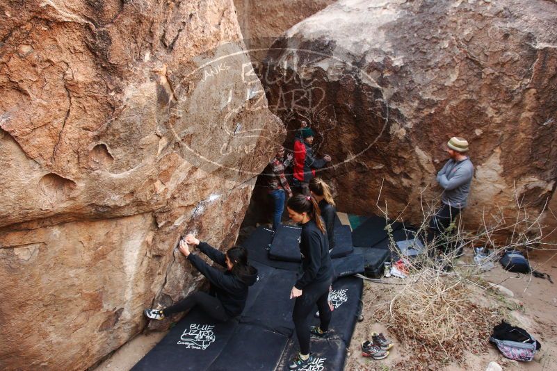 Bouldering in Hueco Tanks on 11/24/2018 with Blue Lizard Climbing and Yoga

Filename: SRM_20181124_1100270.jpg
Aperture: f/5.0
Shutter Speed: 1/200
Body: Canon EOS-1D Mark II
Lens: Canon EF 16-35mm f/2.8 L