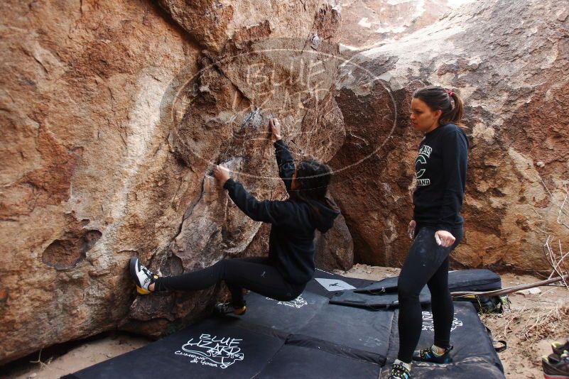 Bouldering in Hueco Tanks on 11/24/2018 with Blue Lizard Climbing and Yoga

Filename: SRM_20181124_1108400.jpg
Aperture: f/4.0
Shutter Speed: 1/250
Body: Canon EOS-1D Mark II
Lens: Canon EF 16-35mm f/2.8 L