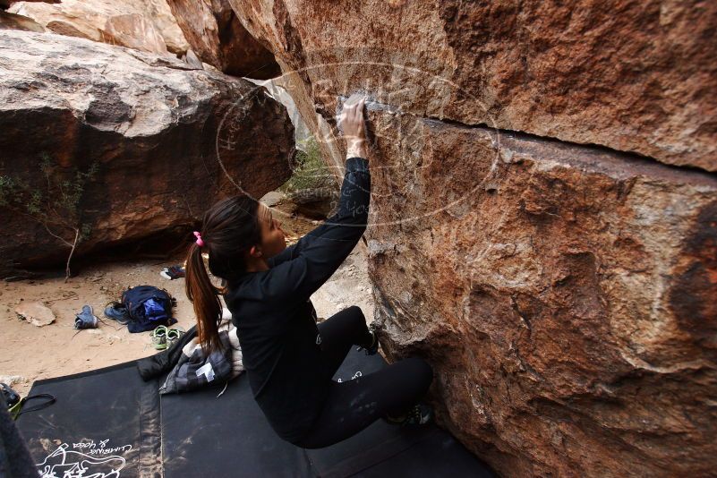 Bouldering in Hueco Tanks on 11/24/2018 with Blue Lizard Climbing and Yoga

Filename: SRM_20181124_1110140.jpg
Aperture: f/4.5
Shutter Speed: 1/250
Body: Canon EOS-1D Mark II
Lens: Canon EF 16-35mm f/2.8 L