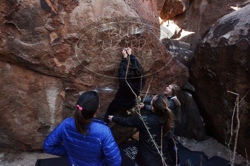 Bouldering in Hueco Tanks on 11/24/2018 with Blue Lizard Climbing and Yoga

Filename: SRM_20181124_1129490.jpg
Aperture: f/8.0
Shutter Speed: 1/250
Body: Canon EOS-1D Mark II
Lens: Canon EF 16-35mm f/2.8 L