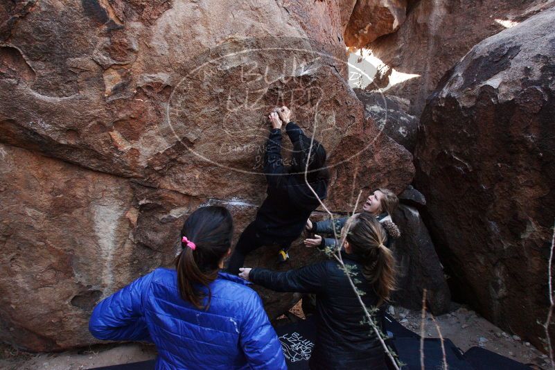 Bouldering in Hueco Tanks on 11/24/2018 with Blue Lizard Climbing and Yoga

Filename: SRM_20181124_1129491.jpg
Aperture: f/7.1
Shutter Speed: 1/250
Body: Canon EOS-1D Mark II
Lens: Canon EF 16-35mm f/2.8 L