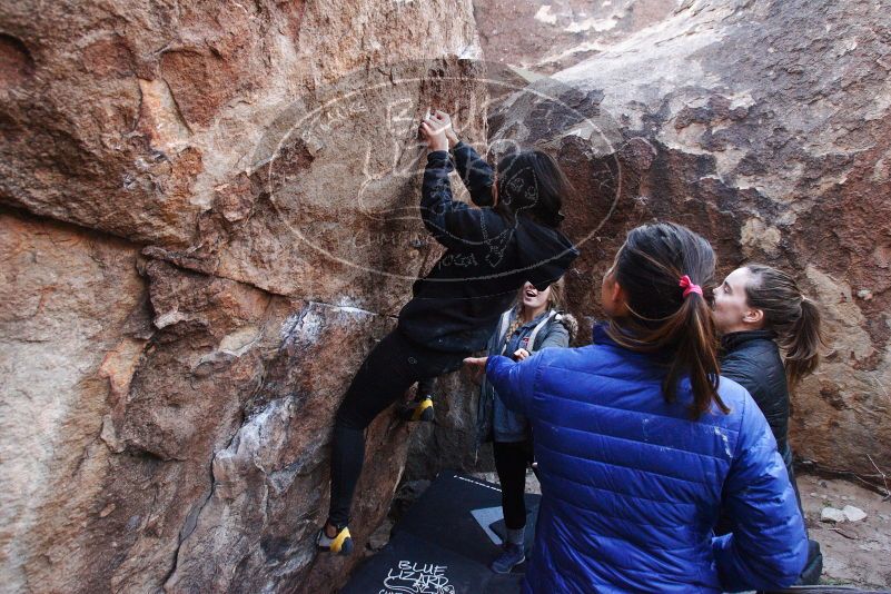 Bouldering in Hueco Tanks on 11/24/2018 with Blue Lizard Climbing and Yoga

Filename: SRM_20181124_1129512.jpg
Aperture: f/5.0
Shutter Speed: 1/250
Body: Canon EOS-1D Mark II
Lens: Canon EF 16-35mm f/2.8 L