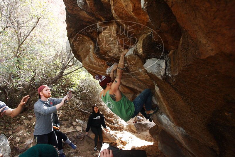 Bouldering in Hueco Tanks on 11/24/2018 with Blue Lizard Climbing and Yoga

Filename: SRM_20181124_1152430.jpg
Aperture: f/4.0
Shutter Speed: 1/400
Body: Canon EOS-1D Mark II
Lens: Canon EF 16-35mm f/2.8 L