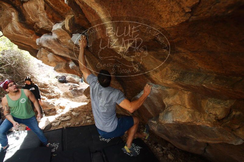 Bouldering in Hueco Tanks on 11/24/2018 with Blue Lizard Climbing and Yoga

Filename: SRM_20181124_1158300.jpg
Aperture: f/5.0
Shutter Speed: 1/250
Body: Canon EOS-1D Mark II
Lens: Canon EF 16-35mm f/2.8 L