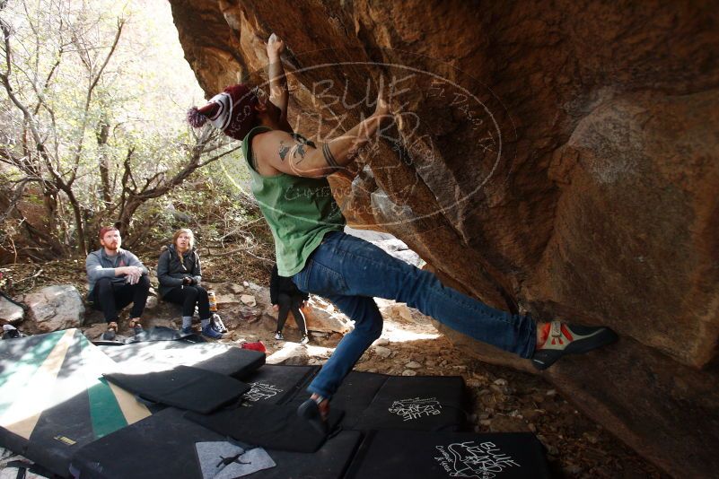 Bouldering in Hueco Tanks on 11/24/2018 with Blue Lizard Climbing and Yoga

Filename: SRM_20181124_1159270.jpg
Aperture: f/4.5
Shutter Speed: 1/250
Body: Canon EOS-1D Mark II
Lens: Canon EF 16-35mm f/2.8 L