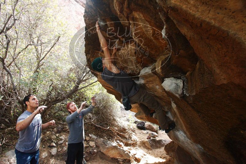 Bouldering in Hueco Tanks on 11/24/2018 with Blue Lizard Climbing and Yoga

Filename: SRM_20181124_1202350.jpg
Aperture: f/5.6
Shutter Speed: 1/250
Body: Canon EOS-1D Mark II
Lens: Canon EF 16-35mm f/2.8 L