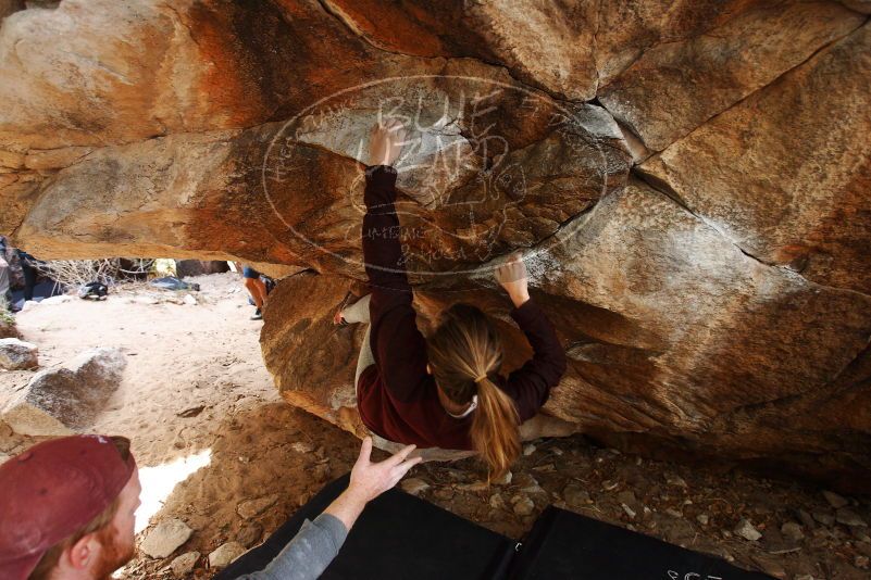 Bouldering in Hueco Tanks on 11/24/2018 with Blue Lizard Climbing and Yoga

Filename: SRM_20181124_1210340.jpg
Aperture: f/4.0
Shutter Speed: 1/250
Body: Canon EOS-1D Mark II
Lens: Canon EF 16-35mm f/2.8 L