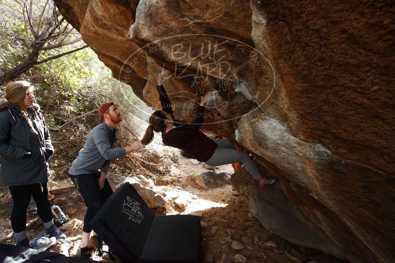 Bouldering in Hueco Tanks on 11/24/2018 with Blue Lizard Climbing and Yoga

Filename: SRM_20181124_1210390.jpg
Aperture: f/5.0
Shutter Speed: 1/250
Body: Canon EOS-1D Mark II
Lens: Canon EF 16-35mm f/2.8 L