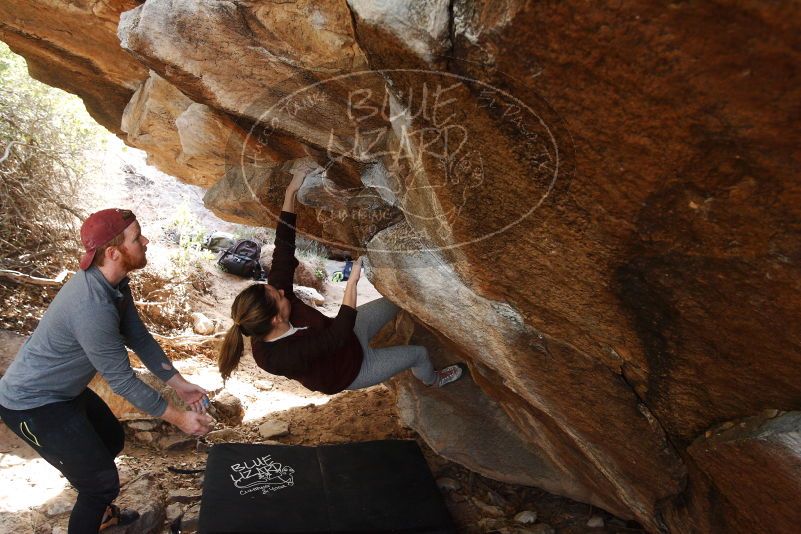 Bouldering in Hueco Tanks on 11/24/2018 with Blue Lizard Climbing and Yoga

Filename: SRM_20181124_1226000.jpg
Aperture: f/4.5
Shutter Speed: 1/250
Body: Canon EOS-1D Mark II
Lens: Canon EF 16-35mm f/2.8 L