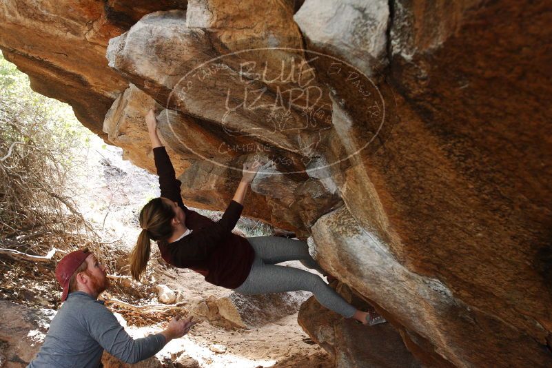 Bouldering in Hueco Tanks on 11/24/2018 with Blue Lizard Climbing and Yoga

Filename: SRM_20181124_1226040.jpg
Aperture: f/4.5
Shutter Speed: 1/250
Body: Canon EOS-1D Mark II
Lens: Canon EF 16-35mm f/2.8 L