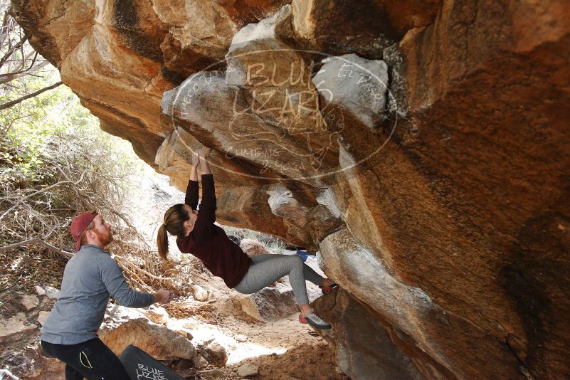 Bouldering in Hueco Tanks on 11/24/2018 with Blue Lizard Climbing and Yoga

Filename: SRM_20181124_1226080.jpg
Aperture: f/4.5
Shutter Speed: 1/250
Body: Canon EOS-1D Mark II
Lens: Canon EF 16-35mm f/2.8 L