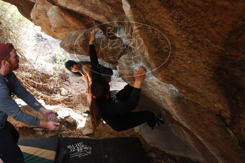 Bouldering in Hueco Tanks on 11/24/2018 with Blue Lizard Climbing and Yoga

Filename: SRM_20181124_1228350.jpg
Aperture: f/4.5
Shutter Speed: 1/250
Body: Canon EOS-1D Mark II
Lens: Canon EF 16-35mm f/2.8 L