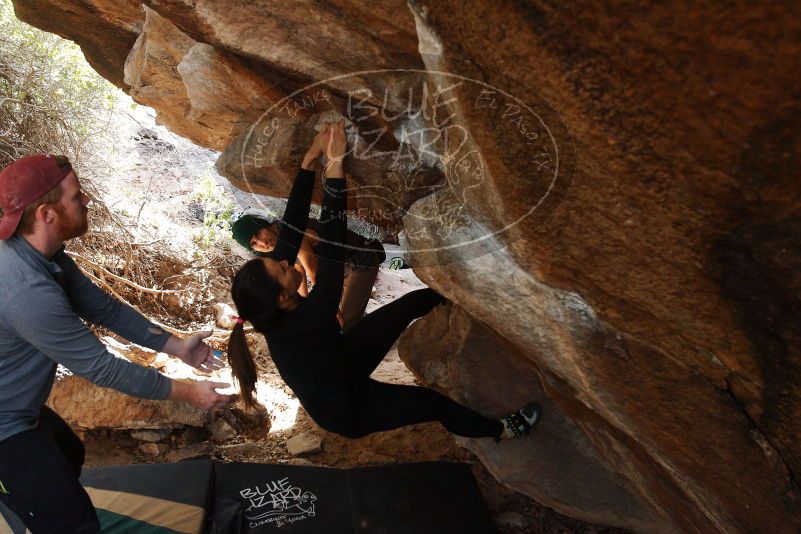 Bouldering in Hueco Tanks on 11/24/2018 with Blue Lizard Climbing and Yoga

Filename: SRM_20181124_1228390.jpg
Aperture: f/5.0
Shutter Speed: 1/250
Body: Canon EOS-1D Mark II
Lens: Canon EF 16-35mm f/2.8 L