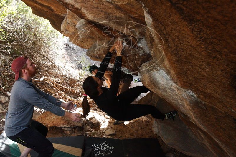 Bouldering in Hueco Tanks on 11/24/2018 with Blue Lizard Climbing and Yoga

Filename: SRM_20181124_1228410.jpg
Aperture: f/5.0
Shutter Speed: 1/250
Body: Canon EOS-1D Mark II
Lens: Canon EF 16-35mm f/2.8 L