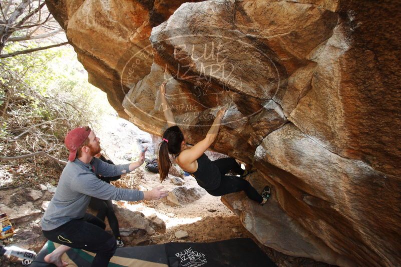 Bouldering in Hueco Tanks on 11/24/2018 with Blue Lizard Climbing and Yoga

Filename: SRM_20181124_1233370.jpg
Aperture: f/3.5
Shutter Speed: 1/250
Body: Canon EOS-1D Mark II
Lens: Canon EF 16-35mm f/2.8 L