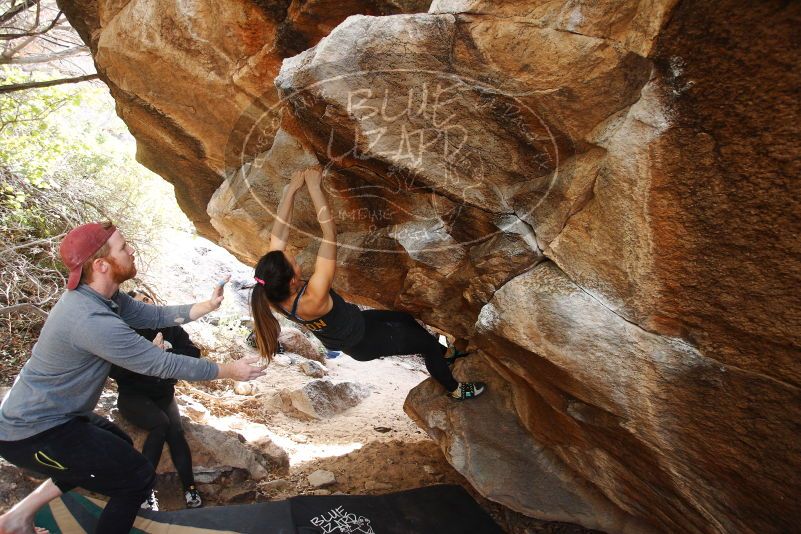 Bouldering in Hueco Tanks on 11/24/2018 with Blue Lizard Climbing and Yoga

Filename: SRM_20181124_1233390.jpg
Aperture: f/3.5
Shutter Speed: 1/250
Body: Canon EOS-1D Mark II
Lens: Canon EF 16-35mm f/2.8 L