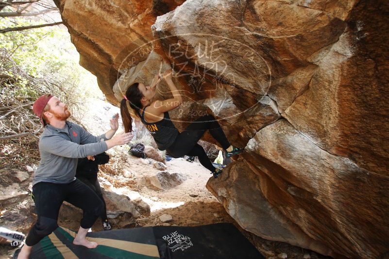 Bouldering in Hueco Tanks on 11/24/2018 with Blue Lizard Climbing and Yoga

Filename: SRM_20181124_1233470.jpg
Aperture: f/3.5
Shutter Speed: 1/250
Body: Canon EOS-1D Mark II
Lens: Canon EF 16-35mm f/2.8 L