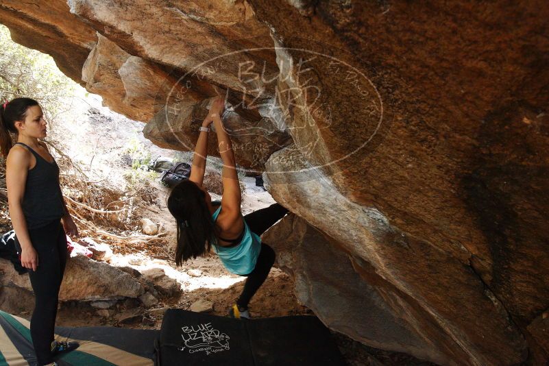 Bouldering in Hueco Tanks on 11/24/2018 with Blue Lizard Climbing and Yoga

Filename: SRM_20181124_1239420.jpg
Aperture: f/6.3
Shutter Speed: 1/200
Body: Canon EOS-1D Mark II
Lens: Canon EF 16-35mm f/2.8 L