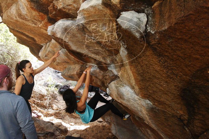 Bouldering in Hueco Tanks on 11/24/2018 with Blue Lizard Climbing and Yoga

Filename: SRM_20181124_1239470.jpg
Aperture: f/6.3
Shutter Speed: 1/200
Body: Canon EOS-1D Mark II
Lens: Canon EF 16-35mm f/2.8 L