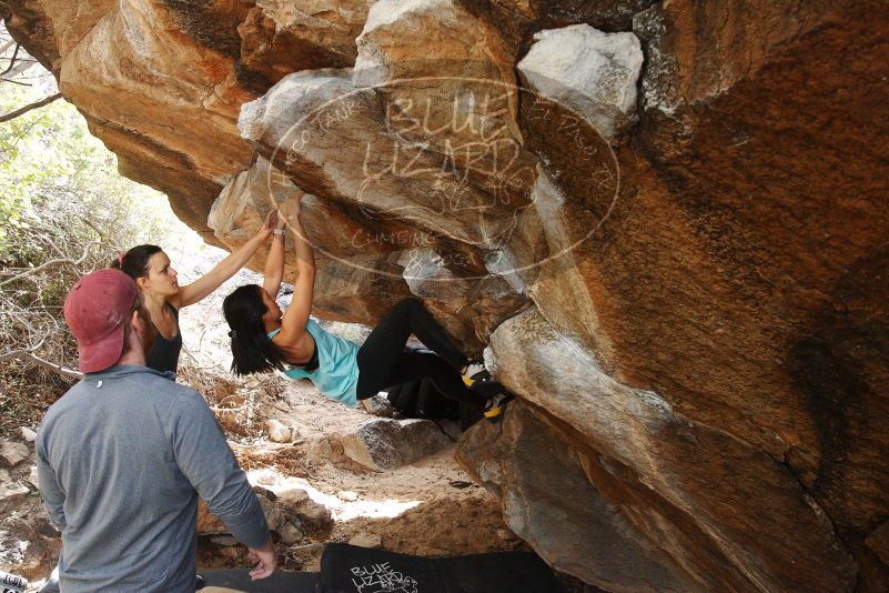 Bouldering in Hueco Tanks on 11/24/2018 with Blue Lizard Climbing and Yoga

Filename: SRM_20181124_1239510.jpg
Aperture: f/5.6
Shutter Speed: 1/200
Body: Canon EOS-1D Mark II
Lens: Canon EF 16-35mm f/2.8 L