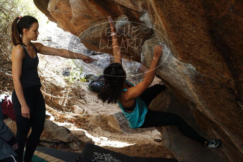 Bouldering in Hueco Tanks on 11/24/2018 with Blue Lizard Climbing and Yoga

Filename: SRM_20181124_1242540.jpg
Aperture: f/5.0
Shutter Speed: 1/320
Body: Canon EOS-1D Mark II
Lens: Canon EF 50mm f/1.8 II