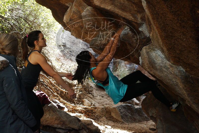 Bouldering in Hueco Tanks on 11/24/2018 with Blue Lizard Climbing and Yoga

Filename: SRM_20181124_1242580.jpg
Aperture: f/5.6
Shutter Speed: 1/320
Body: Canon EOS-1D Mark II
Lens: Canon EF 50mm f/1.8 II