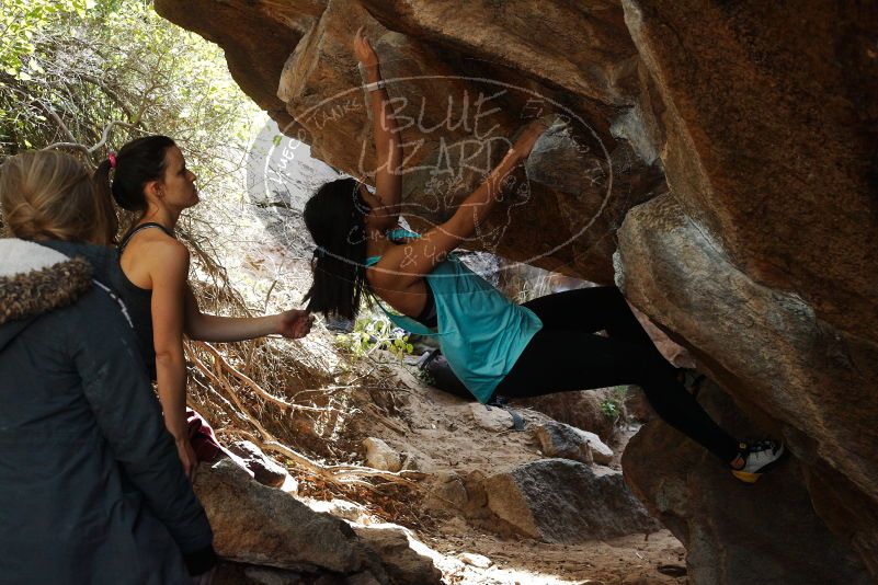 Bouldering in Hueco Tanks on 11/24/2018 with Blue Lizard Climbing and Yoga

Filename: SRM_20181124_1242590.jpg
Aperture: f/5.6
Shutter Speed: 1/320
Body: Canon EOS-1D Mark II
Lens: Canon EF 50mm f/1.8 II