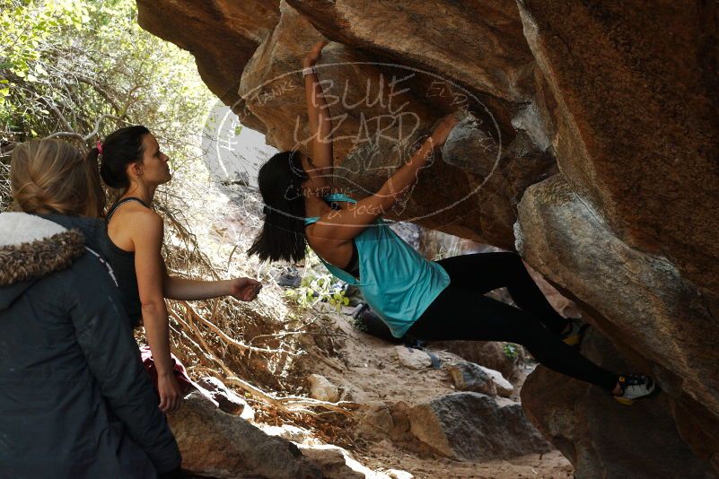 Bouldering in Hueco Tanks on 11/24/2018 with Blue Lizard Climbing and Yoga

Filename: SRM_20181124_1243000.jpg
Aperture: f/5.6
Shutter Speed: 1/320
Body: Canon EOS-1D Mark II
Lens: Canon EF 50mm f/1.8 II