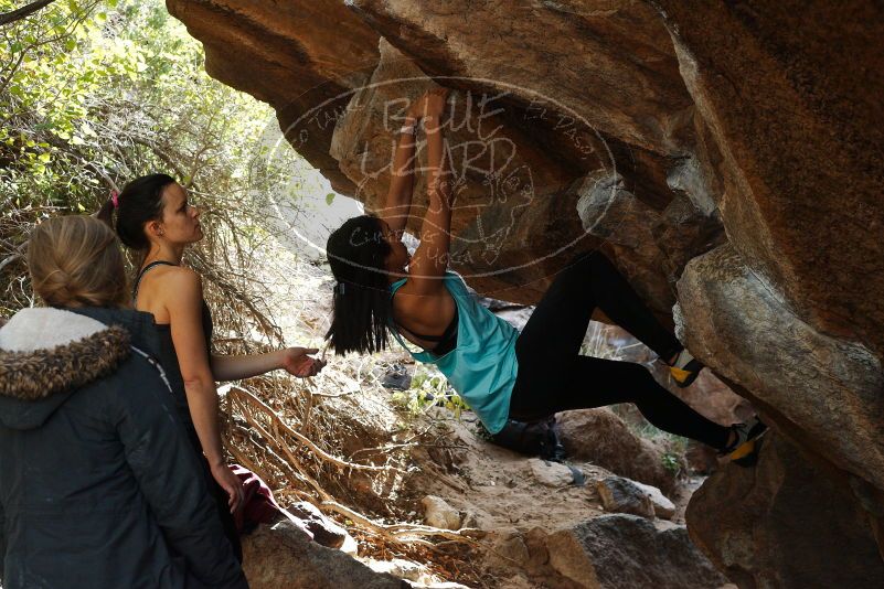 Bouldering in Hueco Tanks on 11/24/2018 with Blue Lizard Climbing and Yoga

Filename: SRM_20181124_1243020.jpg
Aperture: f/5.6
Shutter Speed: 1/320
Body: Canon EOS-1D Mark II
Lens: Canon EF 50mm f/1.8 II