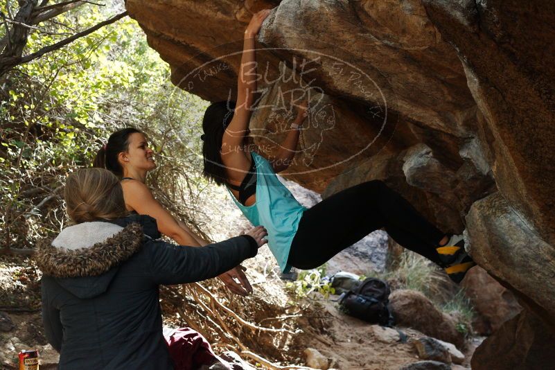 Bouldering in Hueco Tanks on 11/24/2018 with Blue Lizard Climbing and Yoga

Filename: SRM_20181124_1243120.jpg
Aperture: f/5.6
Shutter Speed: 1/320
Body: Canon EOS-1D Mark II
Lens: Canon EF 50mm f/1.8 II