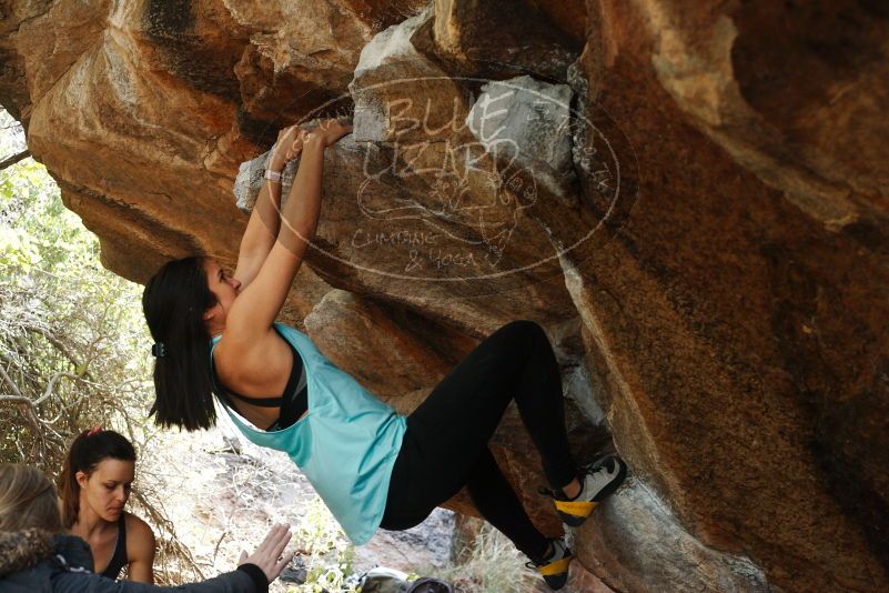 Bouldering in Hueco Tanks on 11/24/2018 with Blue Lizard Climbing and Yoga

Filename: SRM_20181124_1243190.jpg
Aperture: f/5.0
Shutter Speed: 1/320
Body: Canon EOS-1D Mark II
Lens: Canon EF 50mm f/1.8 II