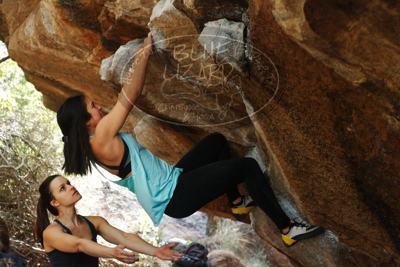 Bouldering in Hueco Tanks on 11/24/2018 with Blue Lizard Climbing and Yoga

Filename: SRM_20181124_1243230.jpg
Aperture: f/4.5
Shutter Speed: 1/320
Body: Canon EOS-1D Mark II
Lens: Canon EF 50mm f/1.8 II