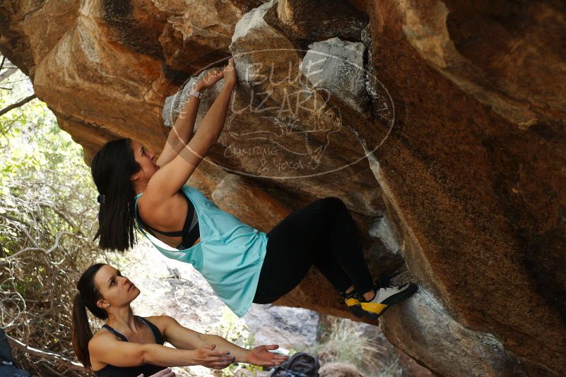 Bouldering in Hueco Tanks on 11/24/2018 with Blue Lizard Climbing and Yoga

Filename: SRM_20181124_1243240.jpg
Aperture: f/5.0
Shutter Speed: 1/320
Body: Canon EOS-1D Mark II
Lens: Canon EF 50mm f/1.8 II