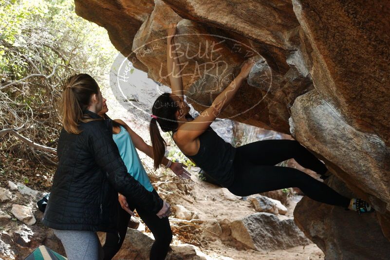 Bouldering in Hueco Tanks on 11/24/2018 with Blue Lizard Climbing and Yoga

Filename: SRM_20181124_1247230.jpg
Aperture: f/5.0
Shutter Speed: 1/250
Body: Canon EOS-1D Mark II
Lens: Canon EF 50mm f/1.8 II