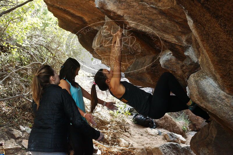 Bouldering in Hueco Tanks on 11/24/2018 with Blue Lizard Climbing and Yoga

Filename: SRM_20181124_1247260.jpg
Aperture: f/5.0
Shutter Speed: 1/250
Body: Canon EOS-1D Mark II
Lens: Canon EF 50mm f/1.8 II