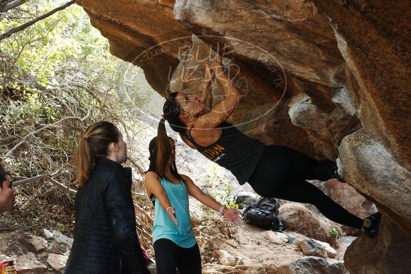 Bouldering in Hueco Tanks on 11/24/2018 with Blue Lizard Climbing and Yoga

Filename: SRM_20181124_1247350.jpg
Aperture: f/5.0
Shutter Speed: 1/250
Body: Canon EOS-1D Mark II
Lens: Canon EF 50mm f/1.8 II