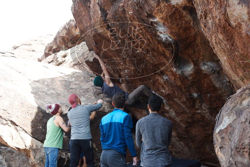 Bouldering in Hueco Tanks on 11/24/2018 with Blue Lizard Climbing and Yoga

Filename: SRM_20181124_1258330.jpg
Aperture: f/7.1
Shutter Speed: 1/250
Body: Canon EOS-1D Mark II
Lens: Canon EF 50mm f/1.8 II