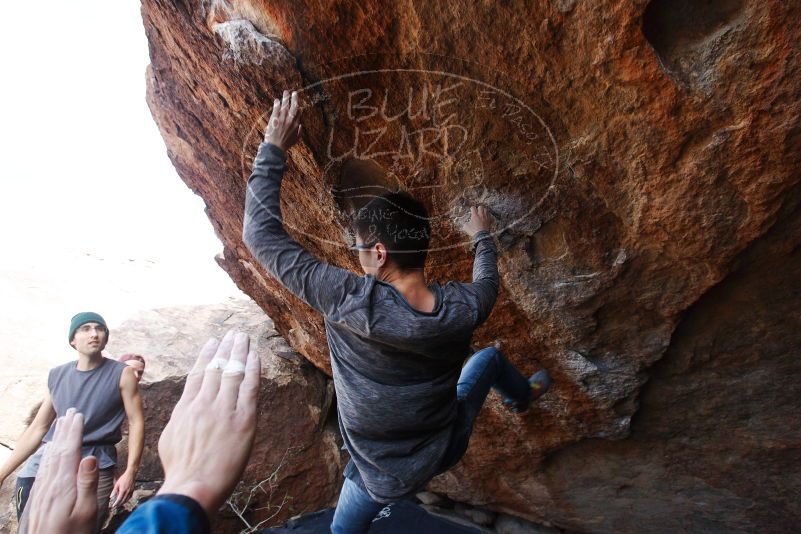 Bouldering in Hueco Tanks on 11/24/2018 with Blue Lizard Climbing and Yoga

Filename: SRM_20181124_1301291.jpg
Aperture: f/5.6
Shutter Speed: 1/250
Body: Canon EOS-1D Mark II
Lens: Canon EF 16-35mm f/2.8 L