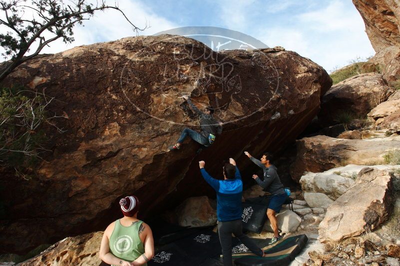 Bouldering in Hueco Tanks on 11/24/2018 with Blue Lizard Climbing and Yoga

Filename: SRM_20181124_1704260.jpg
Aperture: f/9.0
Shutter Speed: 1/250
Body: Canon EOS-1D Mark II
Lens: Canon EF 16-35mm f/2.8 L