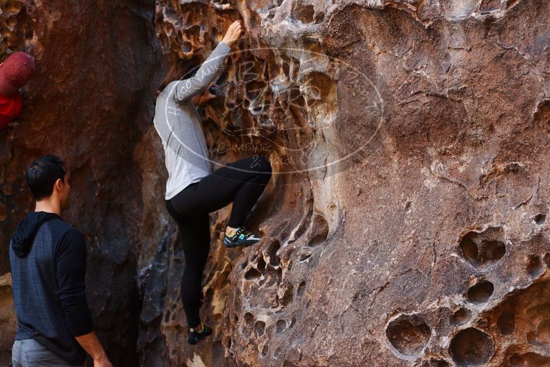 Bouldering in Hueco Tanks on 11/23/2018 with Blue Lizard Climbing and Yoga

Filename: SRM_20181123_1111580.jpg
Aperture: f/3.2
Shutter Speed: 1/125
Body: Canon EOS-1D Mark II
Lens: Canon EF 50mm f/1.8 II