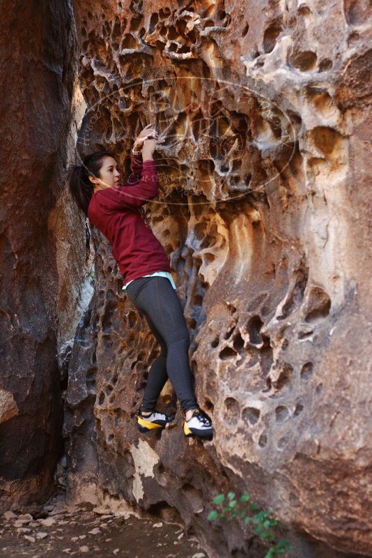 Bouldering in Hueco Tanks on 11/23/2018 with Blue Lizard Climbing and Yoga

Filename: SRM_20181123_1114590.jpg
Aperture: f/3.2
Shutter Speed: 1/100
Body: Canon EOS-1D Mark II
Lens: Canon EF 50mm f/1.8 II