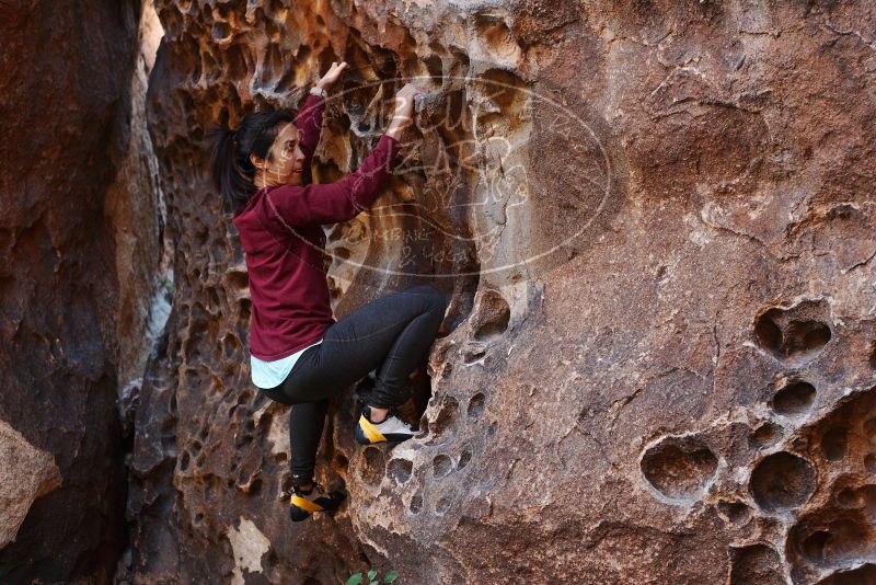 Bouldering in Hueco Tanks on 11/23/2018 with Blue Lizard Climbing and Yoga

Filename: SRM_20181123_1115090.jpg
Aperture: f/3.2
Shutter Speed: 1/125
Body: Canon EOS-1D Mark II
Lens: Canon EF 50mm f/1.8 II