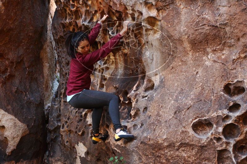 Bouldering in Hueco Tanks on 11/23/2018 with Blue Lizard Climbing and Yoga

Filename: SRM_20181123_1115100.jpg
Aperture: f/3.2
Shutter Speed: 1/125
Body: Canon EOS-1D Mark II
Lens: Canon EF 50mm f/1.8 II