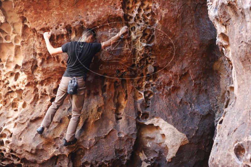 Bouldering in Hueco Tanks on 11/23/2018 with Blue Lizard Climbing and Yoga

Filename: SRM_20181123_1117430.jpg
Aperture: f/3.2
Shutter Speed: 1/60
Body: Canon EOS-1D Mark II
Lens: Canon EF 50mm f/1.8 II